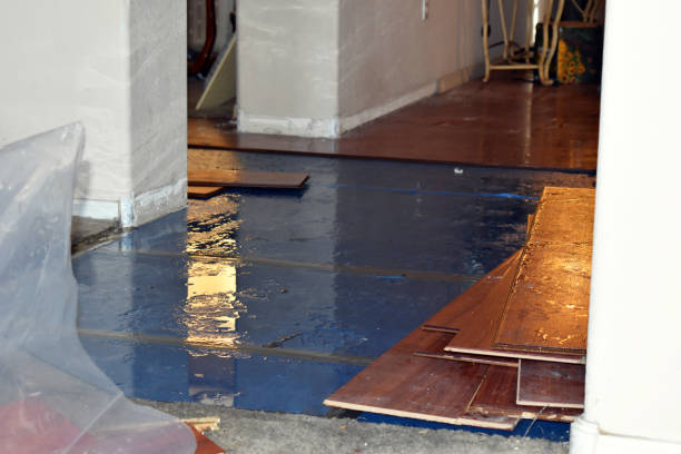 Professional Sewage Cleanup technician working in Columbus, MI